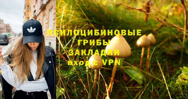 PSILOCYBIN Володарск