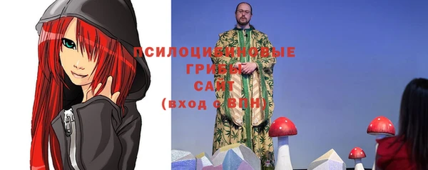 твердый Волоколамск