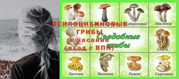 2c-b Вяземский