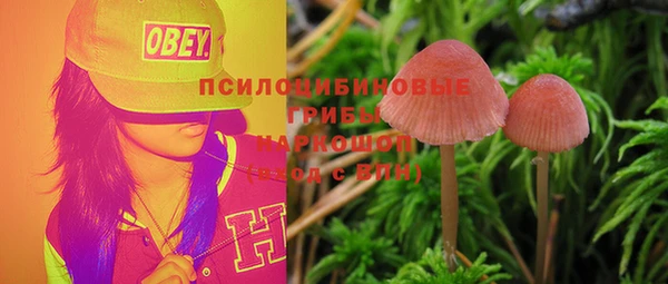 PSILOCYBIN Володарск