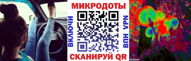 дарнет шоп  Избербаш  Галлюциногенные грибы Psilocybe 